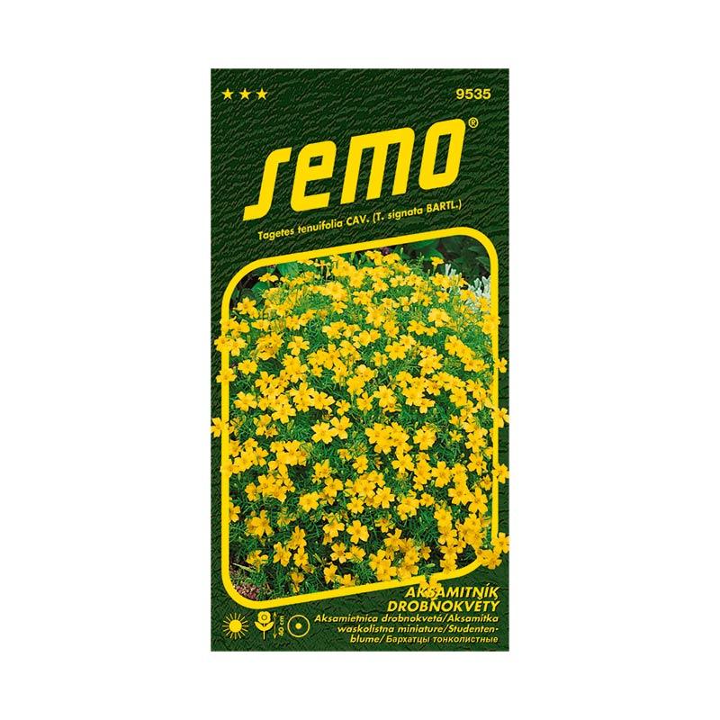 Aksamietnica drobnokvetá žltá  SEMO